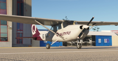 C172 G1000 Qualityfly livery
