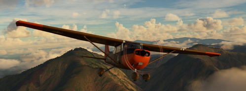 C172SP "Sama" brown-orange RP-C1968