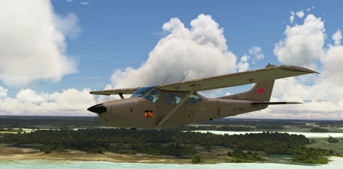 C182RG Skylane II beige Tunapuna 9Y-TND