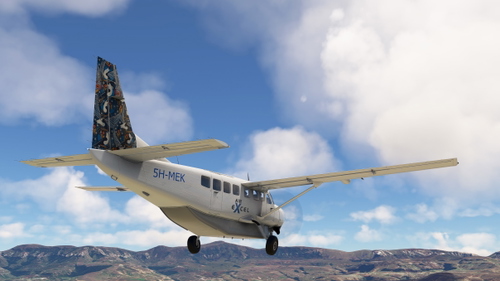 C208  Air Excel  Asobo/ Black Square livery
