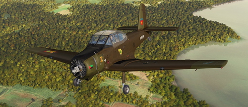 CAC25 Winjeel F-STPR Matouba brown-green v1.1