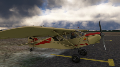 CAP4 Paulistinha Skin - Aeroclube Eldorado do Sul 2024