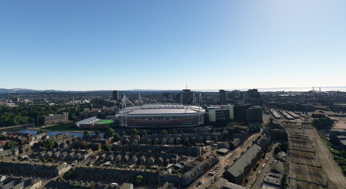 Cardiff no tree