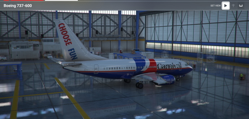 CARNIVAL PMDG Boeing 737-600