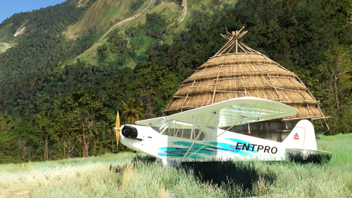 CAS J3 Jazz Cub