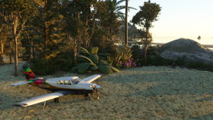 Cascade Lagoon Airstrip NZZC thumbnail 13