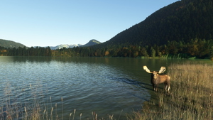 CBK7 Toad River Airstrip (Mile 422 Alaska Hwy) thumbnail 16