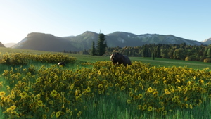 CBK7 Toad River Airstrip (Mile 422 Alaska Hwy) thumbnail 17