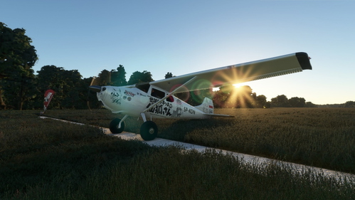 Cessna 170B Itasha - Sewayaki Kitsune no Senko-san