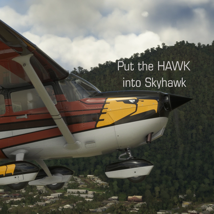 Cessna 172 Skyhawk N75549