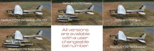 Cessna 172 Skyhawk N75549 thumbnail 4