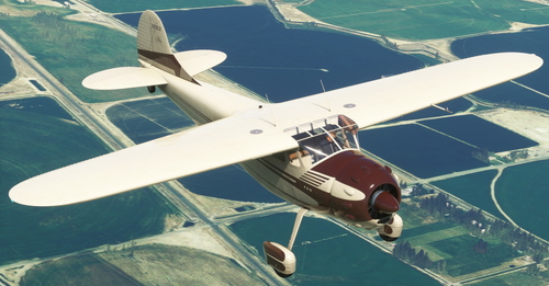 Cessna 195 Businessliner - Dark Brown on Beige