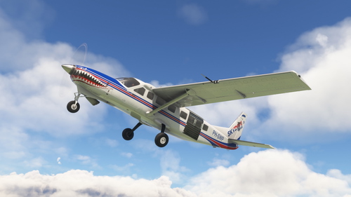 Cessna 208 No Pod PH-SWP