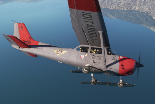  Cessna C-172 Classic “Iditarod Air Service“  (Sled dogs race) 