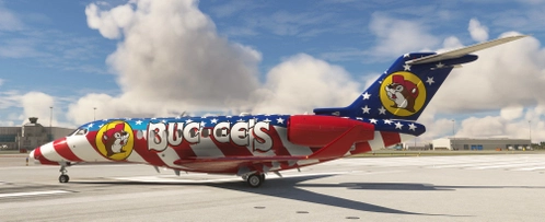 Cessna Citation Longitude Buc-ee's Livery
