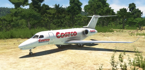 Cessna Citation Longitude Costco Livery [FICTIONAL]