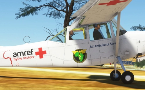 Cessna L-19 Bird Dog AMREF Africa
