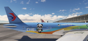 China Eastern 中国东方航空| B-2002 | CIIE Livery thumbnail 2