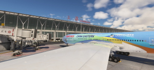 China Eastern 中国东方航空| B-2002 | CIIE Livery thumbnail 3