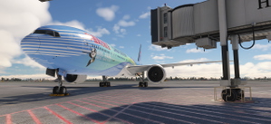 China Eastern 中国东方航空| B-2002 | CIIE Livery thumbnail 5