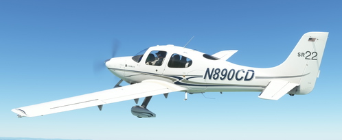 Cirrus SR22 Livery - N890CD
