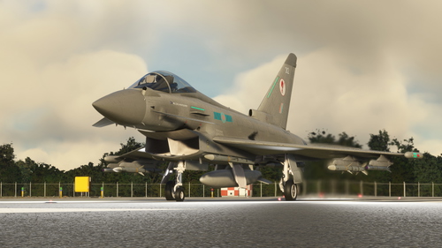 CJ Simulations Typhoon - RAF 6 SQN Marked Livery ZK312 (8K)