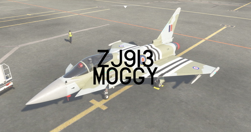 CJ Simulations Typhoon FGR.4|29 Sqn 2024 Typhoon Display Team 'Moggy'|ZJ319