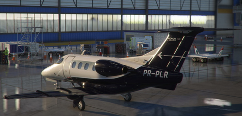 Cockspur Phenom 100 - PRPLR  (4K)