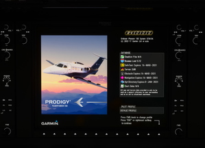 Cockspur Phenom 100 | MFD Splashscreen thumbnail 2