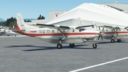 Conair C208B Grand Caravan (Asobo)