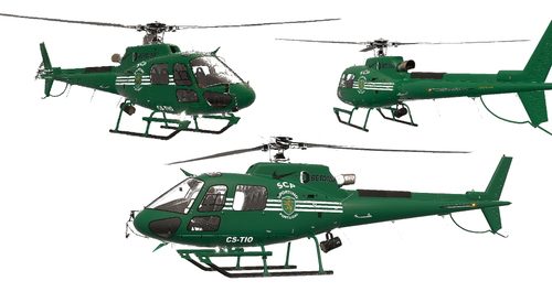 Cowansim H-125 SPORTING