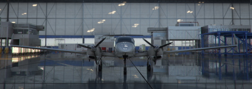 Cows DA42-TDI ( F-HDGP )