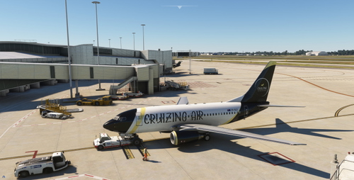 Cruizing Air - ( PMDG 737-600 ) VH-QLD