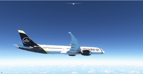 Cruizing Air - (Horizon Simulations B787-900) VH-MSH
