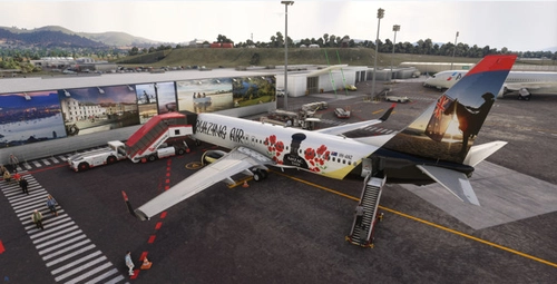Cruizing Air ( PMDG Boeing 737-800 ) ***Special Livery *** VH-ANZ