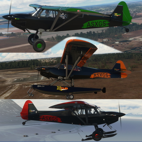 Cub Crafter X-Cub Black Pack