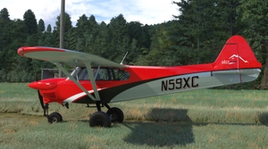 Cub Crafters NXCub with US registration N59XC thumbnail 2