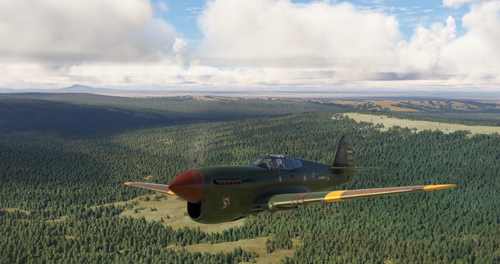 Curtiss P-40F green-brown Tikchik N-0305A