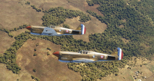 Curtiss P-40F French AF GC II/5 #1, #5 & #8