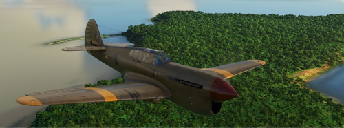 Curtiss P-40F Warhawk 9S-GBO Okoye Nwaobi