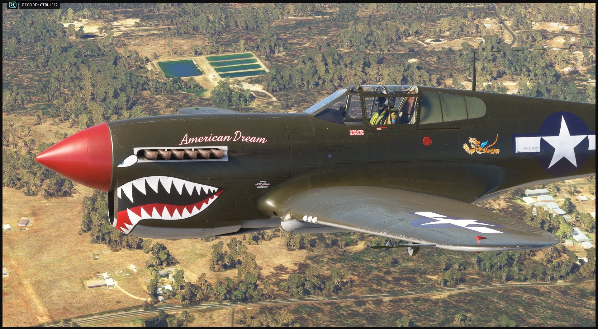 Curtiss P-40N Warhawk "American Dream" NL977WH - Image 1