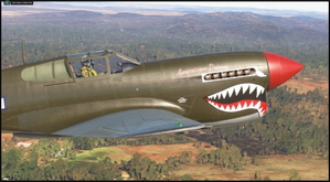 Curtiss P-40N Warhawk "American Dream" NL977WH thumbnail 2