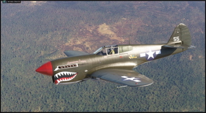 Curtiss P-40N Warhawk "American Dream" NL977WH thumbnail 5