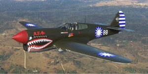 Curtiss P-40N Warhawk NZ3009 Flying Tigers 88-07 thumbnail 1