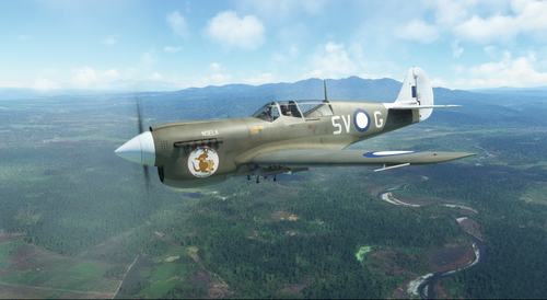 Curtiss P-40N Warhawk RAAF A29-342 SV-G  'Noela'