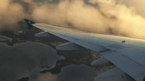 Custom Views Fenix A320