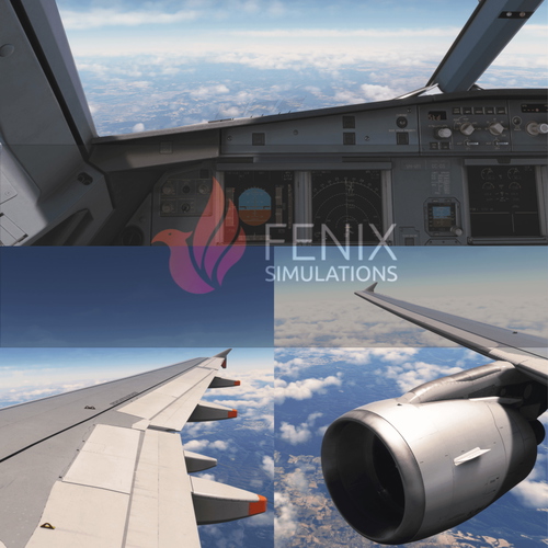 Customer Camera Views - Fenix A320