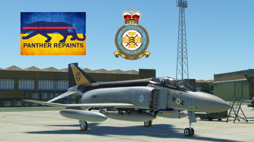 DC Designs  FGR2-XV574  111Sqn.