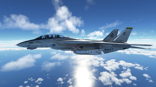 DC Designs F-14D Super Tomcat / VF-142 Fictional