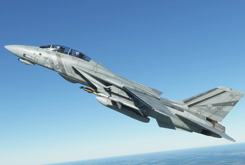 DC Designs F-14D VF-2 Bounty Hunters Line